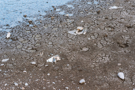 pollution of nature, plastic and rubber in water. environmental disasterの写真素材