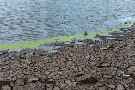 pollution of nature, plastic and rubber in water. environmental disasterの写真素材