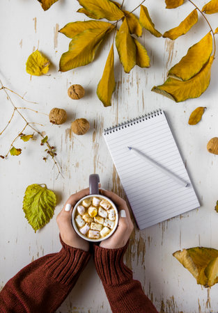 Top view of female hands holding cup of cocoa with marshmallow on shabby table with yellow scattered...