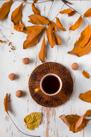 Hot tea on table with dried leaves and walnuts, autumn compositionの写真素材
