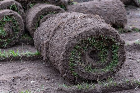 Rolls of turf in the field, closeup of photo.の写真素材