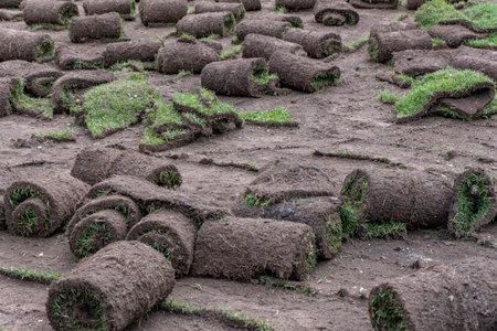 Rolls of turf in the field, closeup of photo.の写真素材