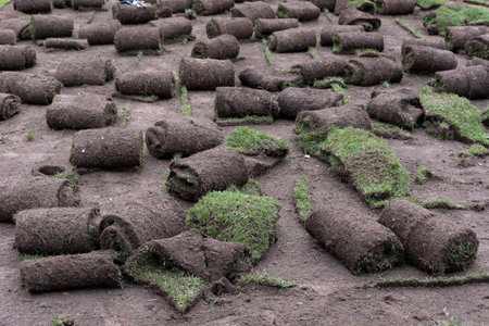 Rolls of turf in the field, closeup of photo.の写真素材