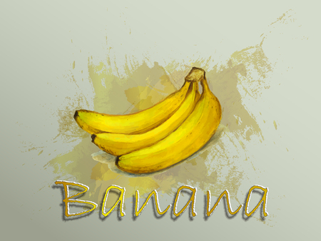 Banana watercolor vector food illustration.Hand painted watercolor illustration.のイラスト素材