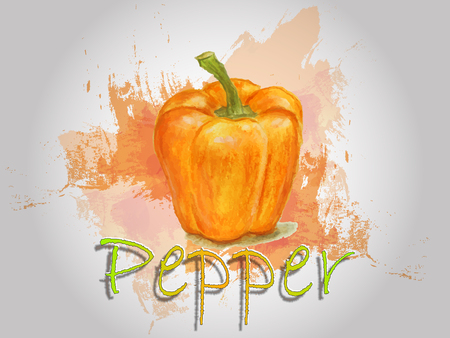 Pepper watercolor vector food illustration.Hand painted watercolor illustration.のイラスト素材