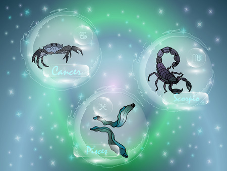 Signs of the zodiac against the starry sky. A set of zodiac constellations.のイラスト素材