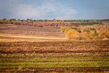 rural autumn landscape, fields