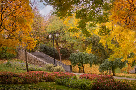 Autumn yellow and green trees in the park.の写真素材