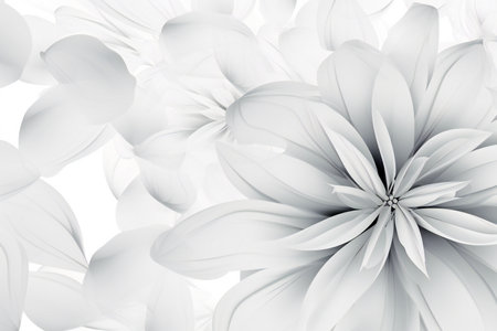 Beautiful white dahlia flower petals close-up macro photographyの素材