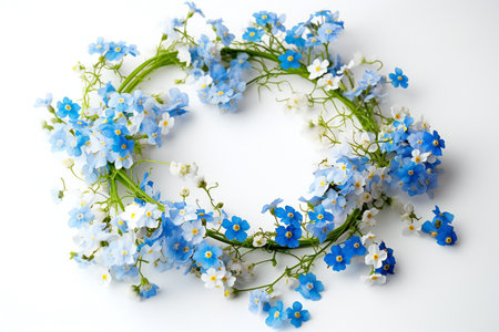 Beautiful forget-me-not flowers on white background, closeupの素材