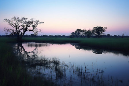 Sunset in Okavango Delta - Moremi National Park in Botswanaの素材