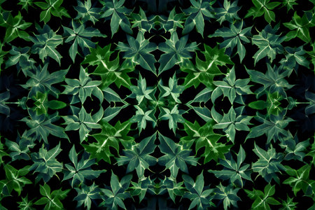 Green leaves pattern on black background. Natural texture for wallpaper and background.の素材