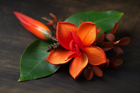 Orange flower and green leaves on black wooden background with copy space.の素材