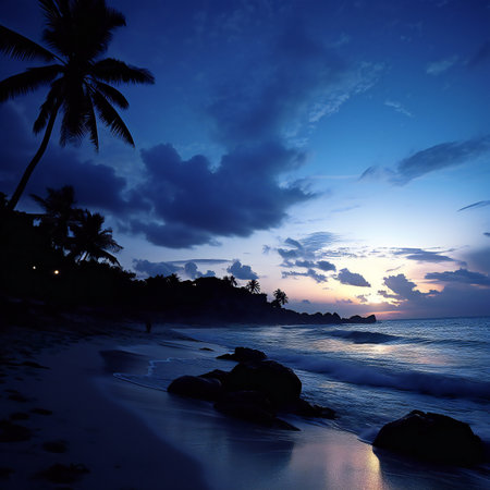 Tropical sunset on the beach with palm trees and rocks.の素材