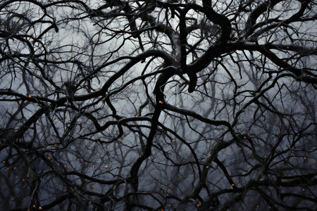 Tree branches with autumn leaves in the foggy forest at night.の素材