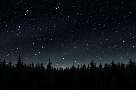 Night sky with stars and milky way over coniferous forestの素材