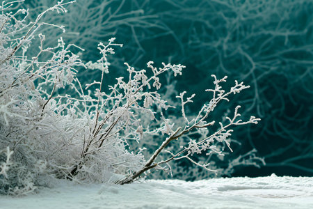 Winter landscape. Frost on the branches of bushes. Shallow depth of field.の素材
