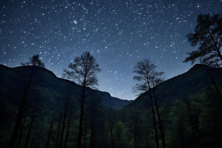 Milky way in the mountains at night with stars and pine treesの素材