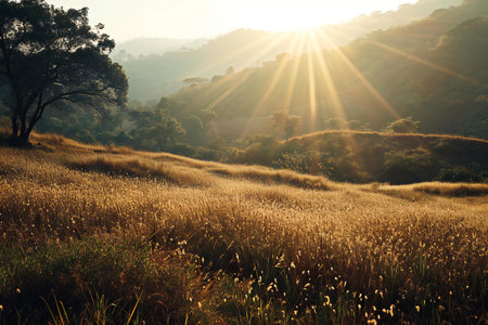 Sunset over grassland in the morning, Chiang Mai, Thailandの素材