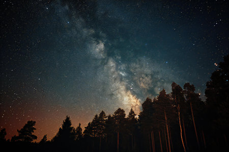 Milky Way and Pine Forest at night, Long exposure photograph.の素材