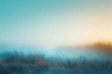 Frozen meadow in the morning mist. Shallow depth of field.の素材