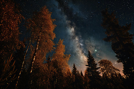 Night sky with stars and milky way in the forest. Beautiful nature landscapeの素材