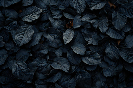 Dark leaves background. Natural texture. Top view. Flat lay.の素材