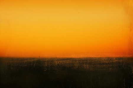 Sunset over the field with grass and trees. Beautiful natural background.の素材