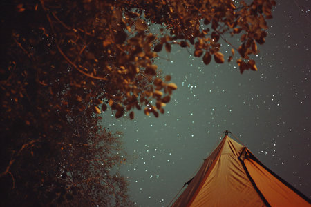 Camping tent in the forest at night with stars in the skyの素材