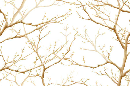 Tree branches isolated on white background.の素材