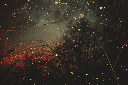 Night sky with stars and nebula in the forest, tonedの素材