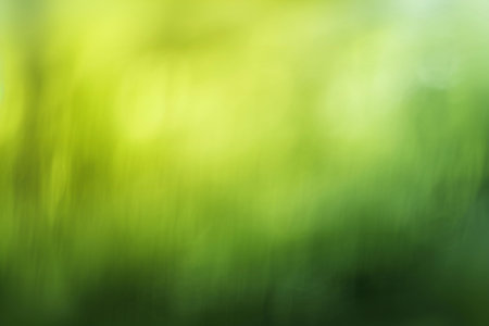 abstract green bokeh background, defocused nature background.の素材