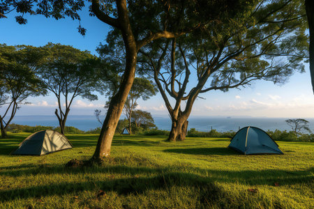 Camping tents on green grass at sunset. Camping in the mountains.の素材