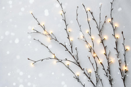 Christmas background. Christmas tree branches with lights on snow background. Flat lay, top view, copy spaceの素材