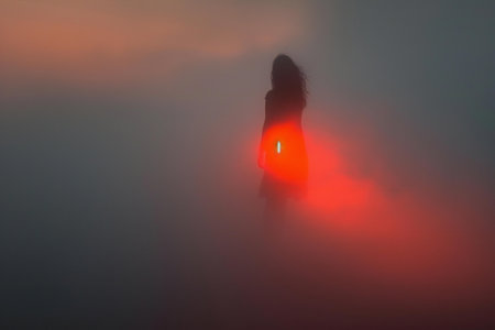 A girl in a red dress is standing in the fog and looking at the sun.の素材
