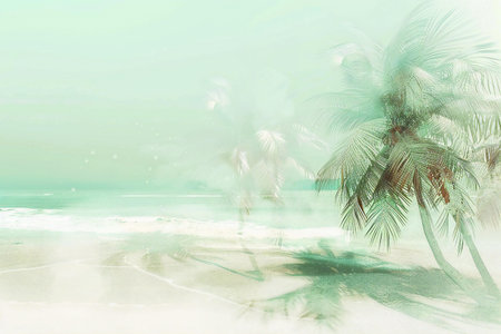 Tropical beach background with coconut palm trees and sand in the waterの素材