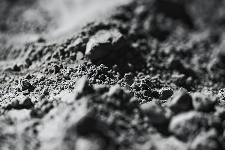 Closeup of soil. Black and white photo. Shallow depth of field.の素材