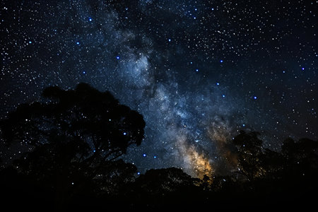 Milky Way Galaxy with Stars and Tree Silhouette at night