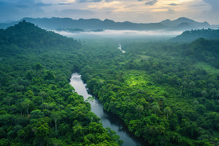 Beautiful aerial view of a river in a jungle at sunrise.
