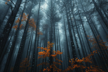 Mysterious forest in the fog. Halloween concept. 3D Renderingの写真素材