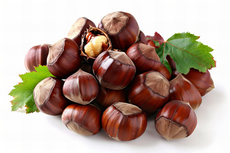 Chestnuts with leaves isolated on white background. Close up.の写真素材