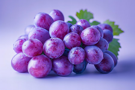 Bunch of fresh grapes with water drops on a purple background.の写真素材