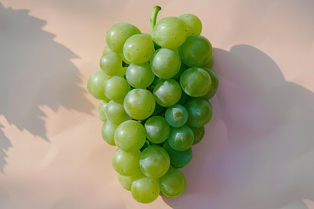Grapes on a white background. Green grapes on a white background.の写真素材