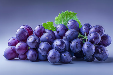 Bunch of fresh ripe grapes with water drops on a blue backgroundの写真素材