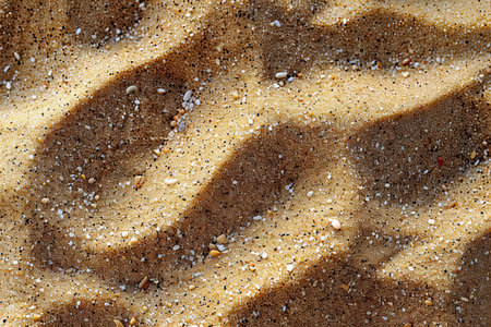 Sand texture. Sandy beach background. Closeup of sand texture.
