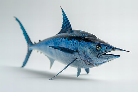 Blue marlin fish isolated on white background. 3d render.の写真素材