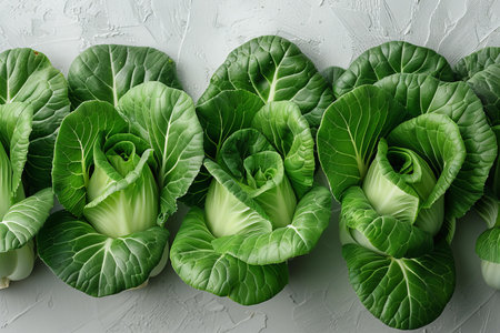 Fresh green chinese cabbage on white textured background, top viewの写真素材