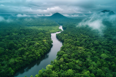 Aerial view of river and forest in the morning with fog.