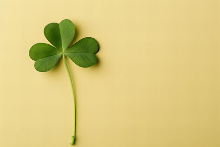 Clover leaf on yellow background. St. Patrick's day conceptの写真素材