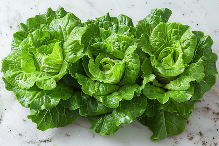 fresh green lettuce on white marble background, top view, closeup
